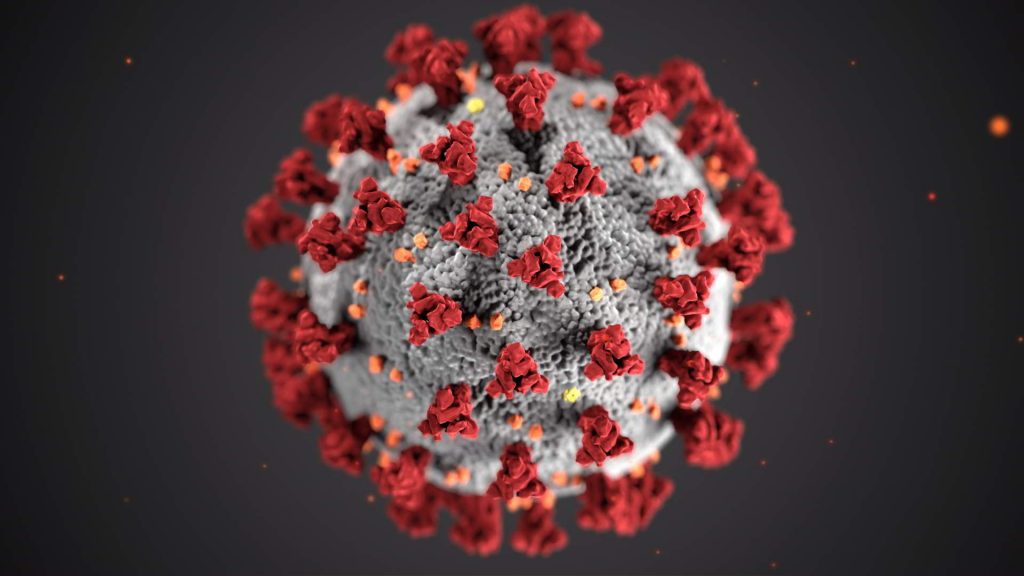 Virus Coronavirus COVID19