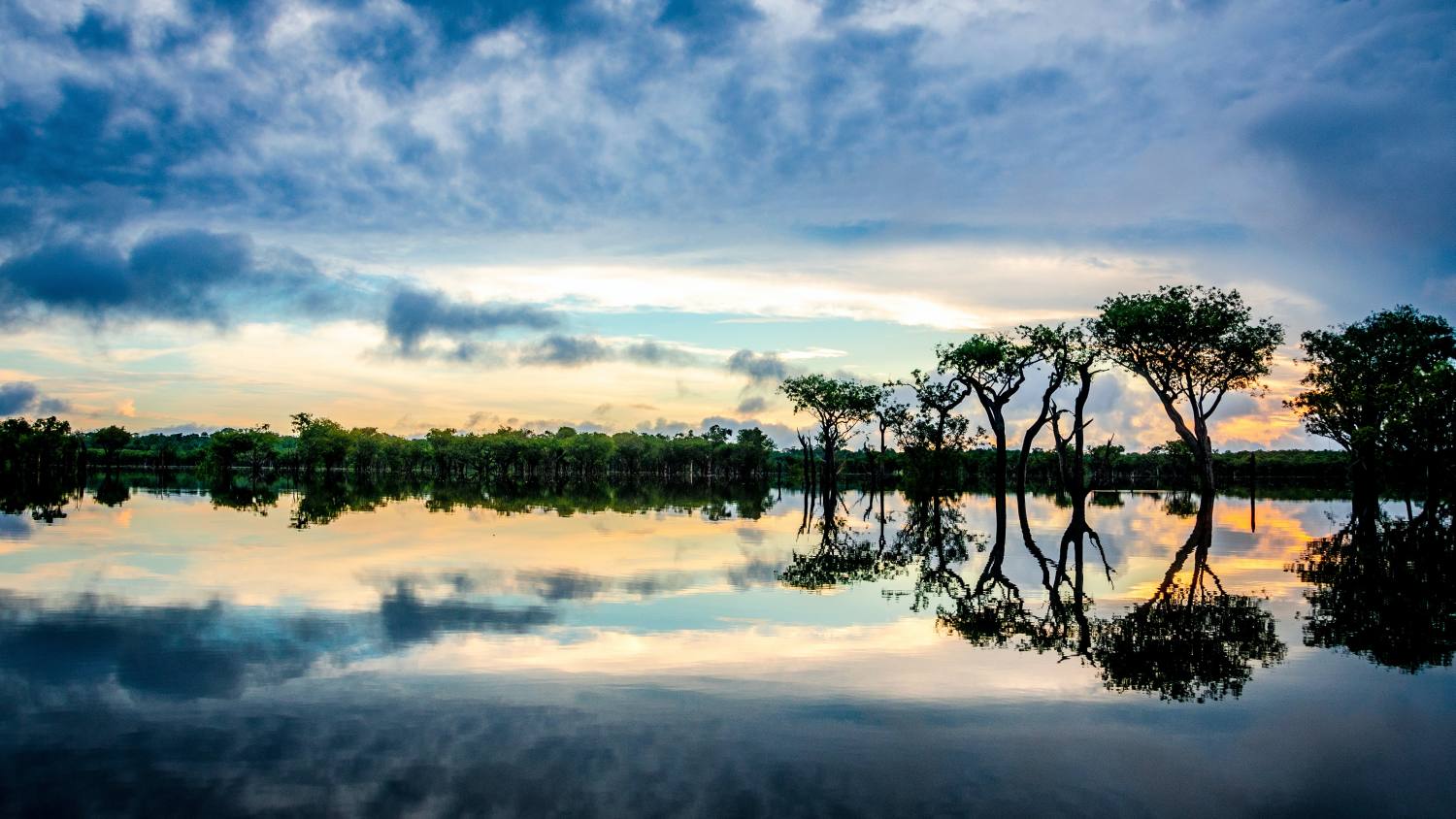 Río Amazonas Brasil 7 Maravillas del Mundo