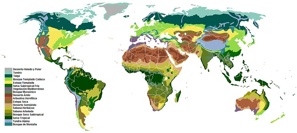 Biomas nivel mundial
